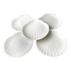 5 scallop shell-shaped plates in Limoges porcelain