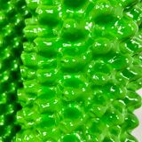 Cactus Coat Rack by Guido Drocco and Franco Mello for Gufram