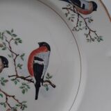 Lot plates St-Amand robin