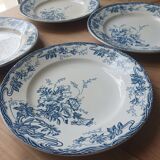 Longwy Azalea plates