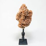 Sand rose on a turned black wooden base, late 19th century curiosities.