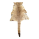 Kangaroo skin Curiosity cabinet