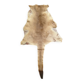Kangaroo skin Curiosity cabinet