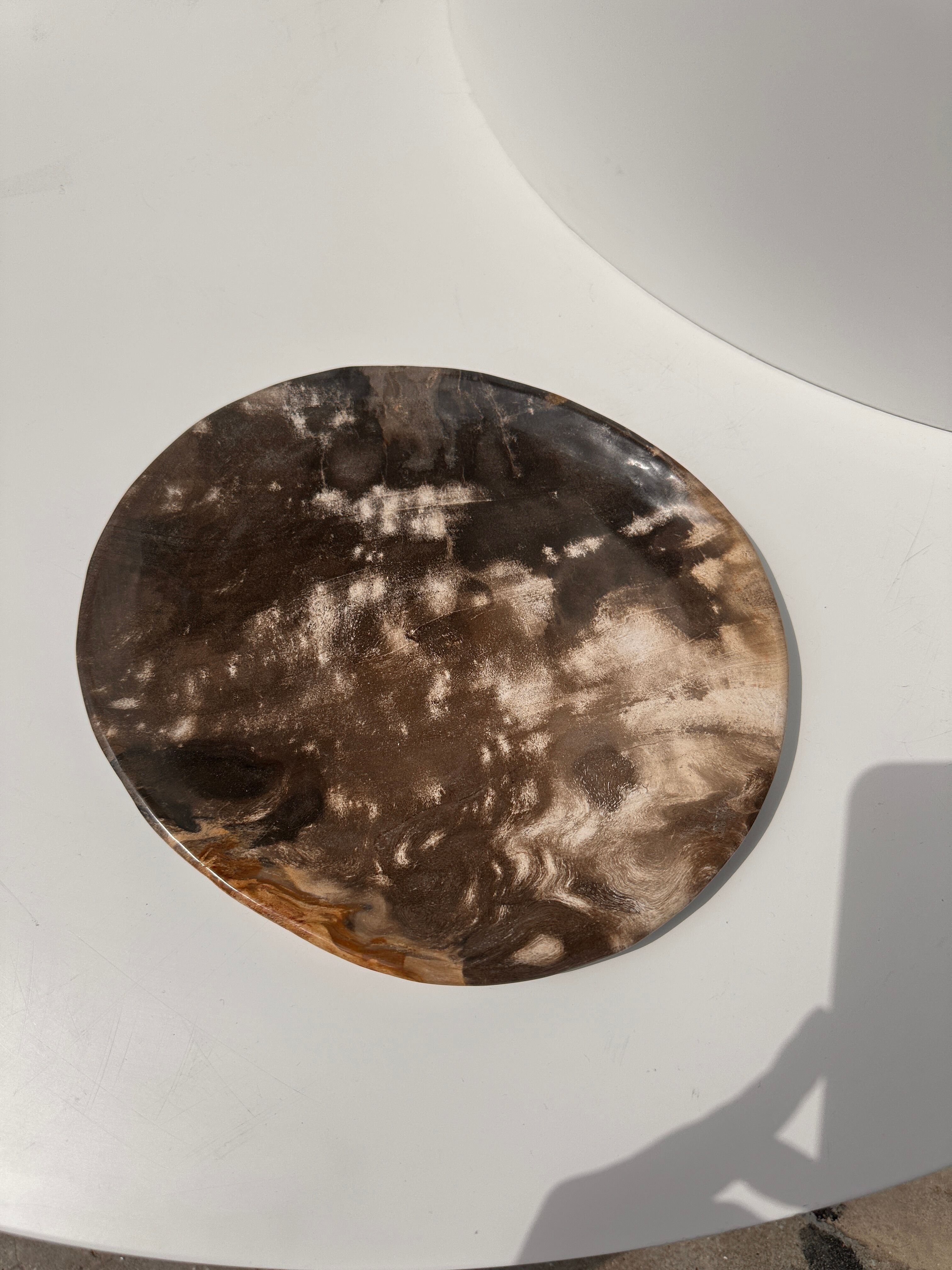 Dish in petrified wood