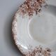 Large deep plate Terre de fer Gien Autumn