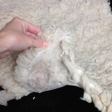 Sheepskin excellent condition