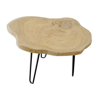 Coffee table in natural trunk