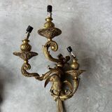 Pair of bronze wall sconces with parrots, early 20th century.