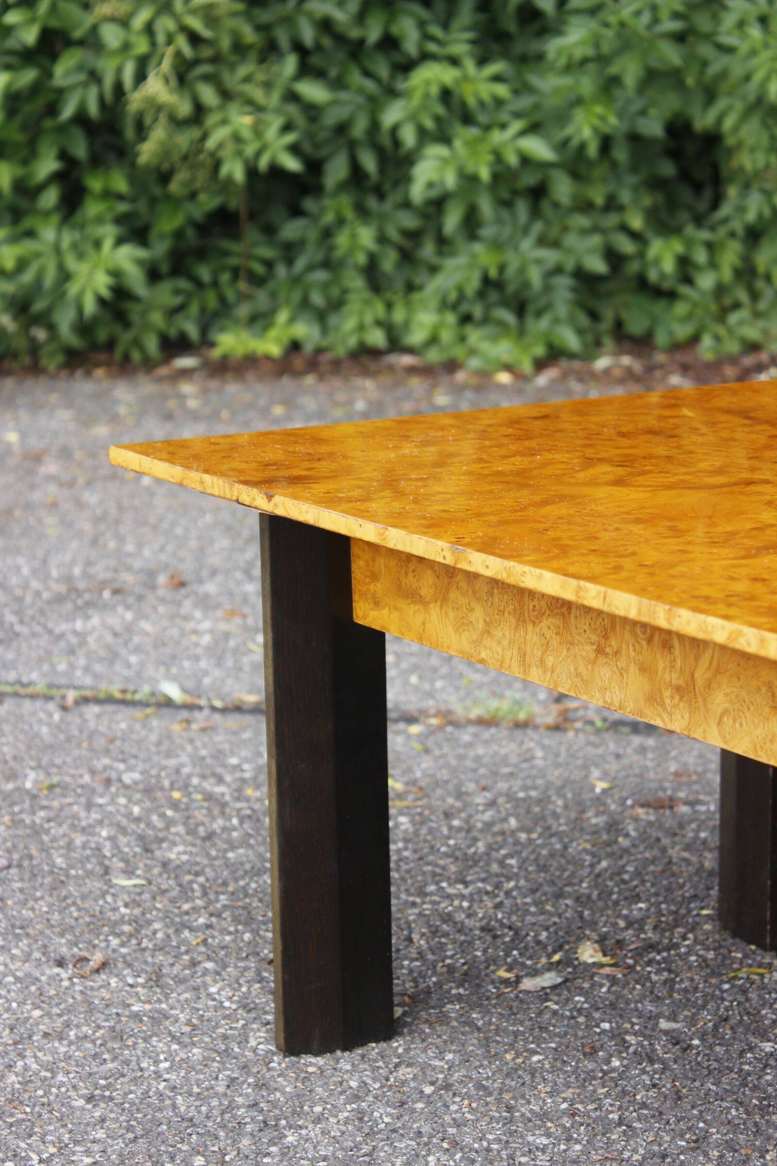 50s modernist coffee table in elm burl veneer
