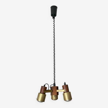 Extendable spotlight ceiling light