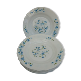 Arcopal hollow plates blue flowers model Veronica