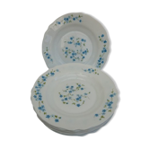 Arcopal hollow plates blue flowers model Veronica