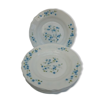 Arcopal hollow plates blue flowers model Veronica