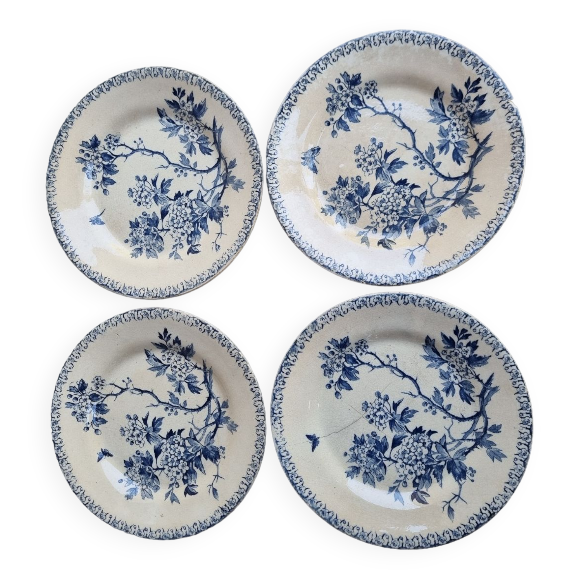 Gien earthenware plates, Iron earth