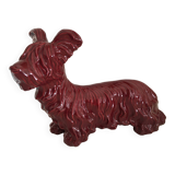 Skye Terrier Dog