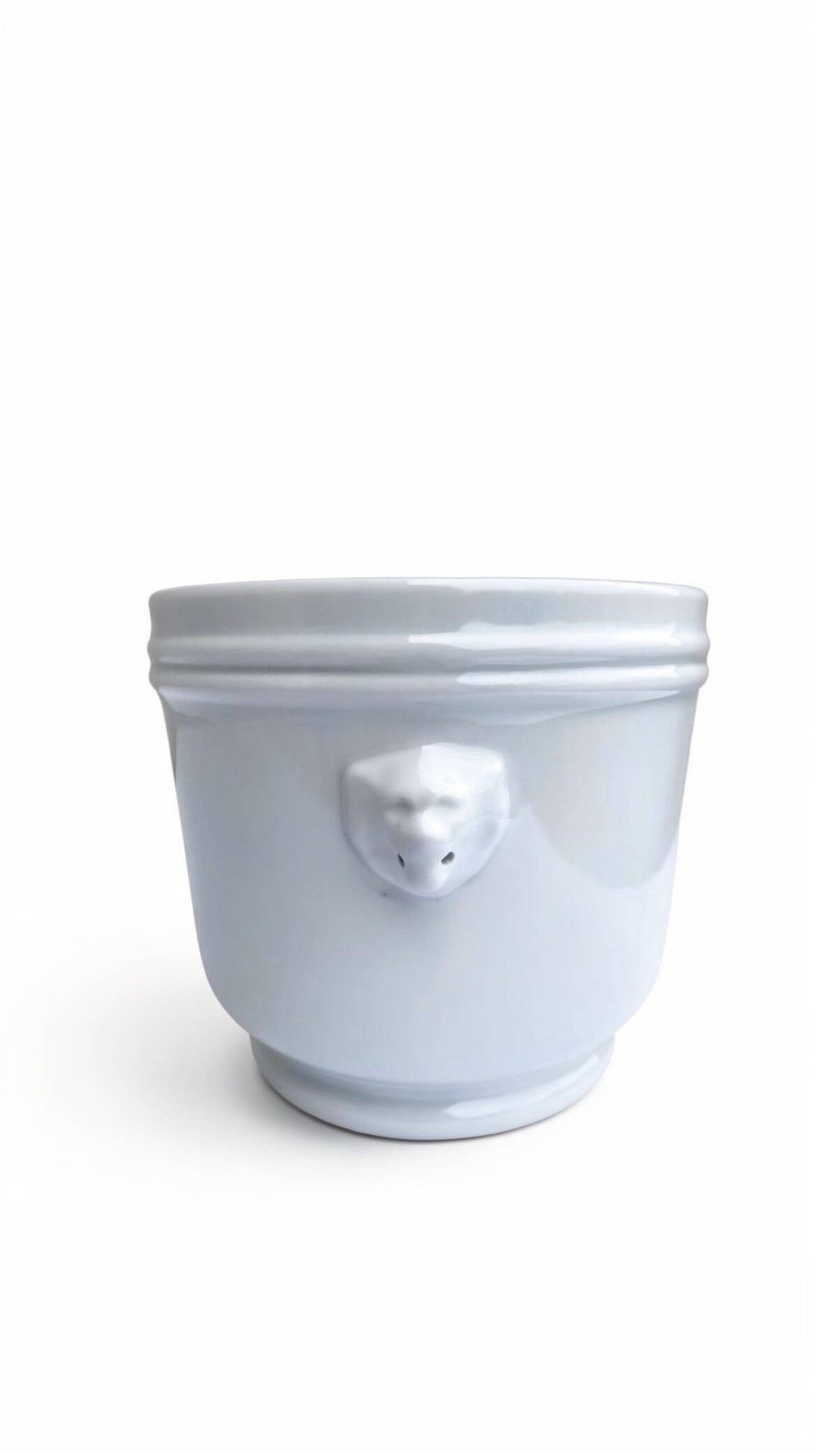 Lion head cache-pot