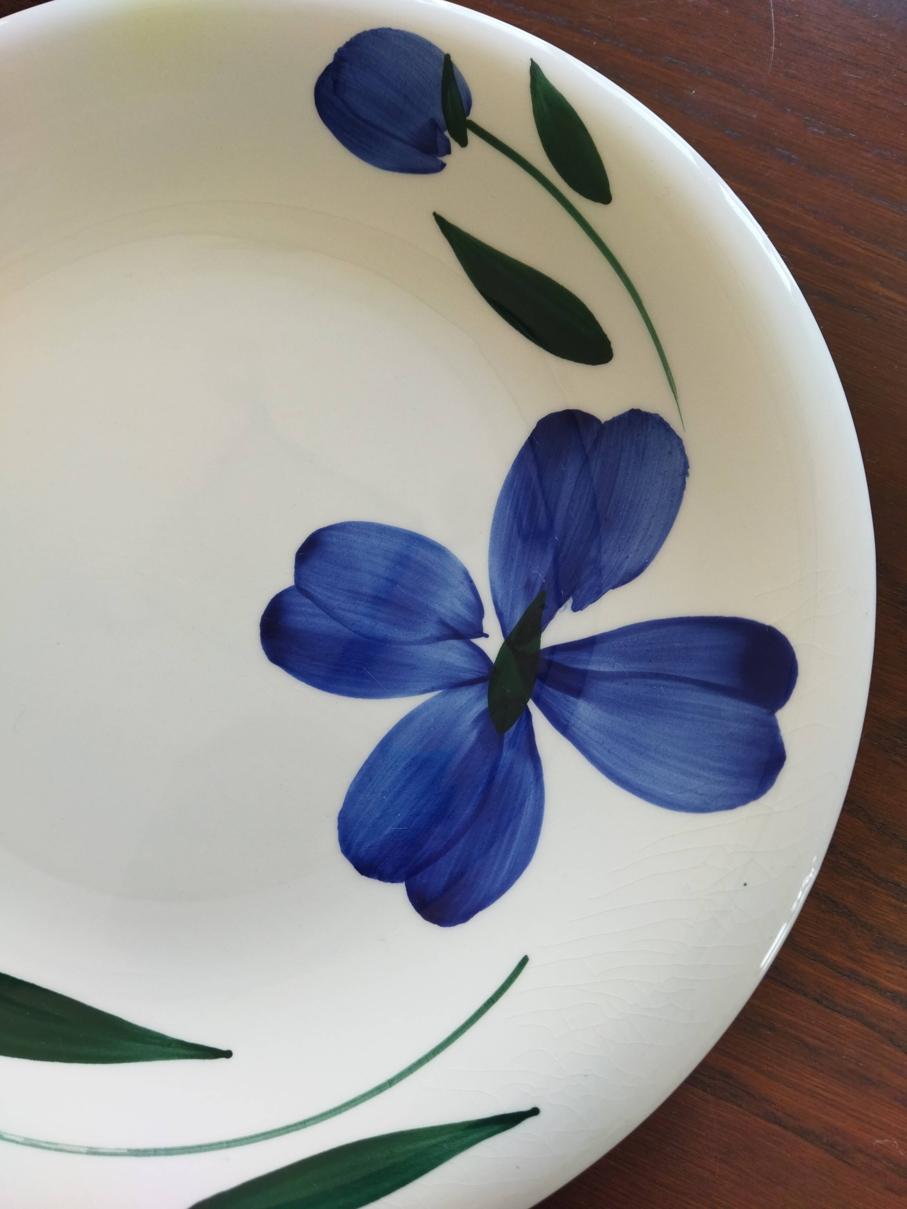 Primula dinner plate (Italy)