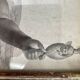 Old trumeau to lay or hang 57x27cm