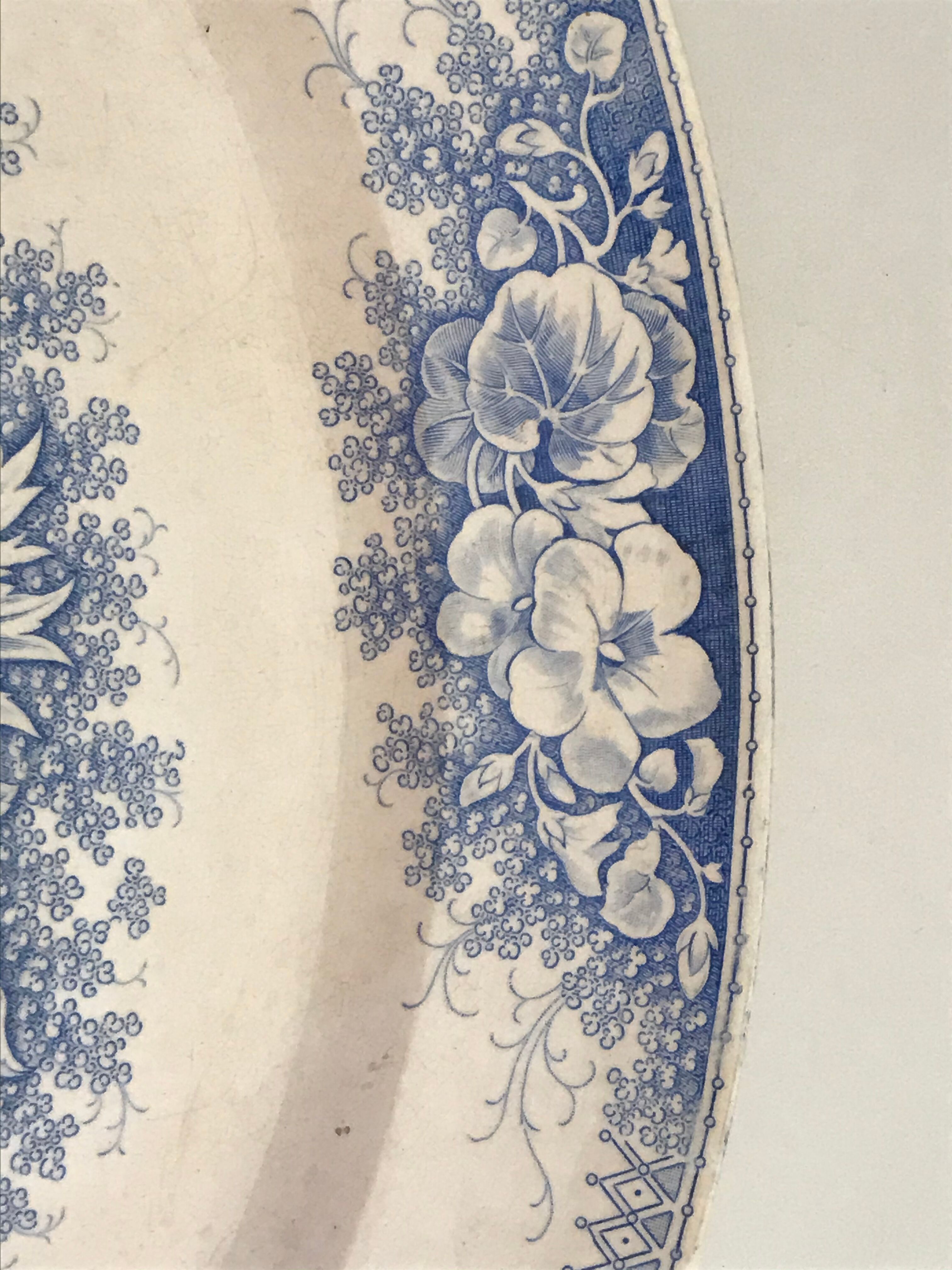 Old dish U-C Sarreguemines