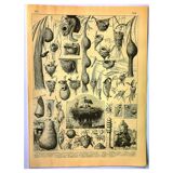 Antique engraving 1897 A. Millot - Nest, Birds' nest and other animals