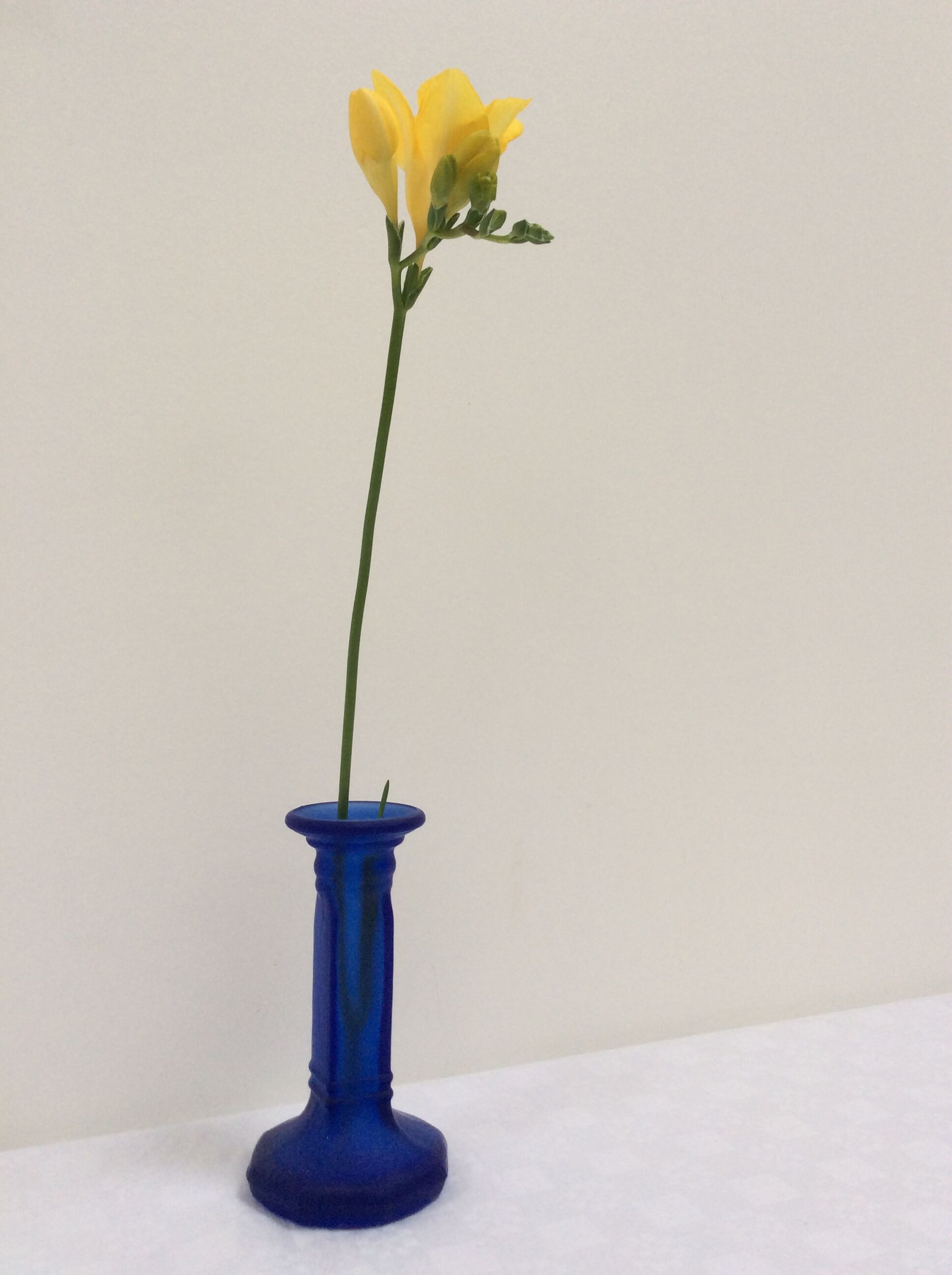 Pair of candlesticks blue