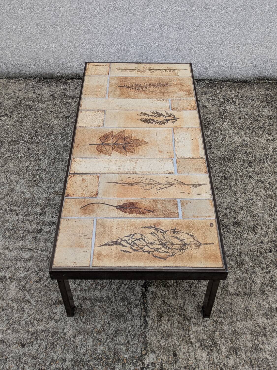 Roger Capron "herbarium" rectangular coffee table with patinated steel structure