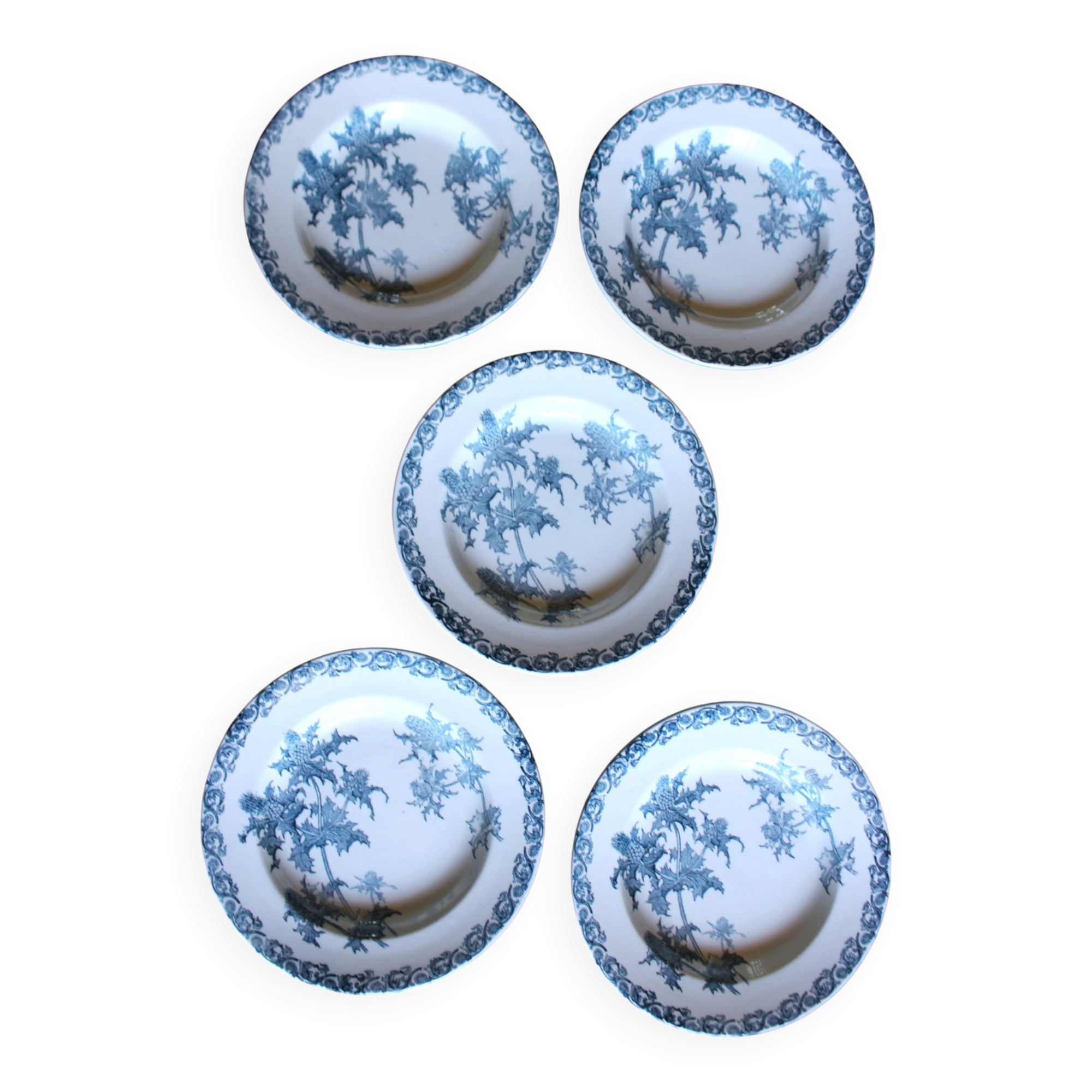 A set of 5 deep plates Chardon Bleu Terre de Fer Clairefontaine Righi