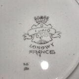 Assiette plate motifs verts et oranges, collection tokio - terre de fer de Longwy