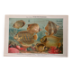 Ancienne gravure sur les poissons (1890)