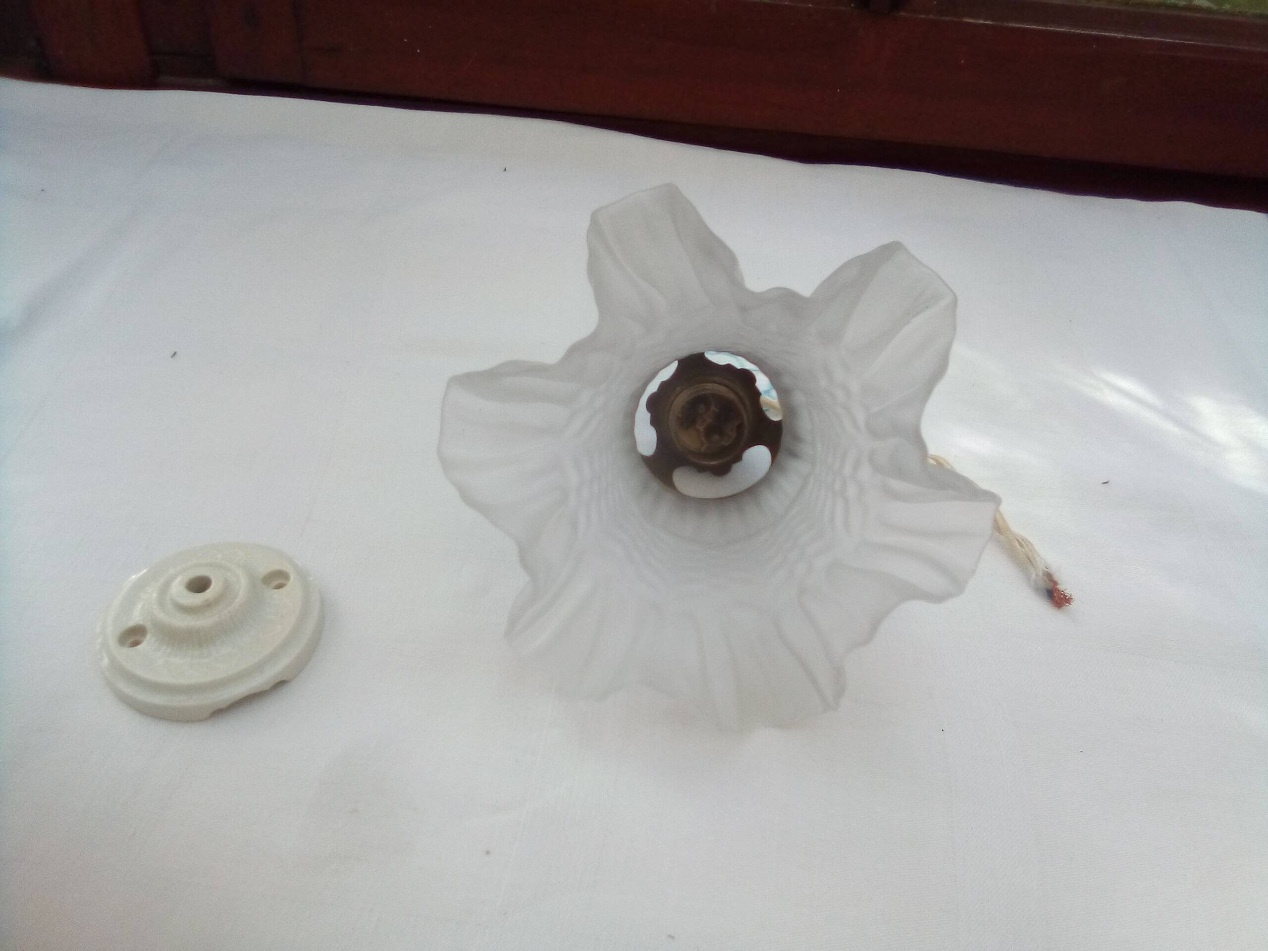 Glass tulip pendant light