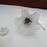 Glass tulip pendant light