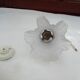 Glass tulip pendant light