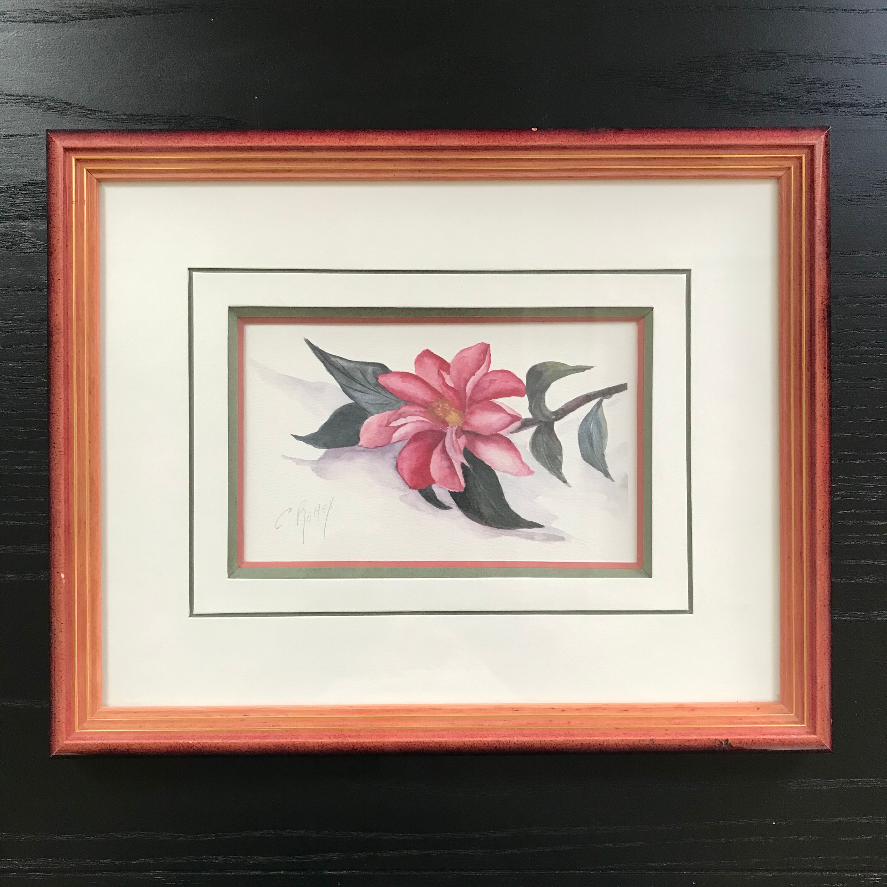 Original and signed botanical watercolour