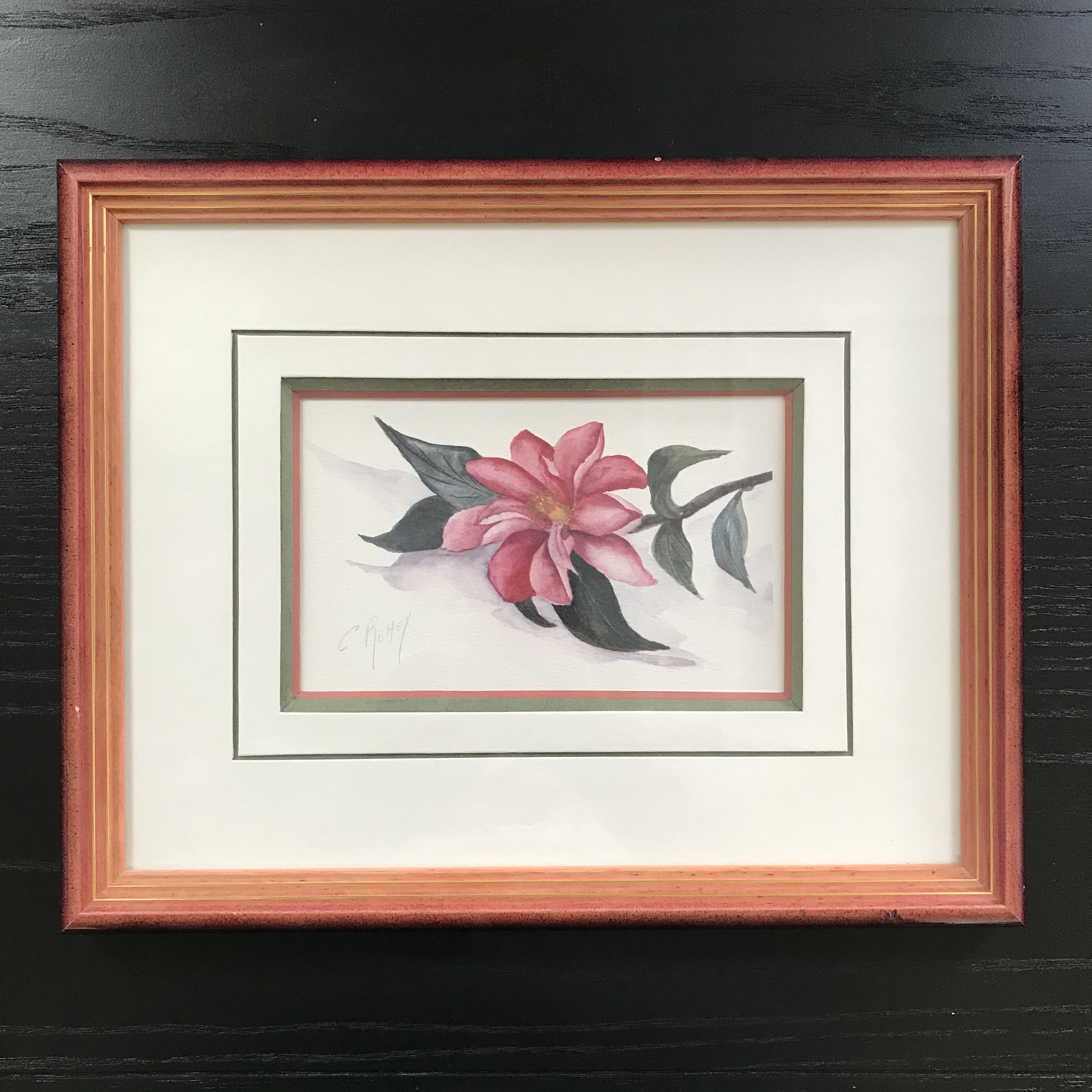Aquarelle botanique originale et signée