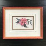 Original and signed botanical watercolor