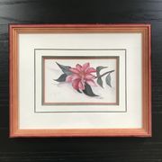 Aquarelle botanique originale et signée