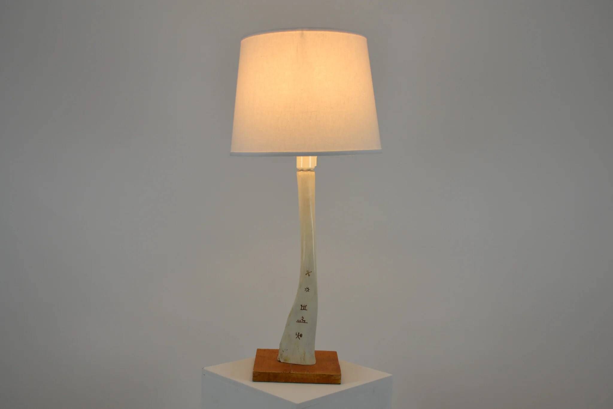 Scandinavian Studio Table Lamp in Carved Bone with Symbolic Decoration, c. 1950s–1970s