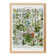 Poster on medicinal plants "mistletoe", based on a 1928 lithograph