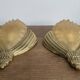 Pair of Art Deco wall lights in brass and moulded glass.