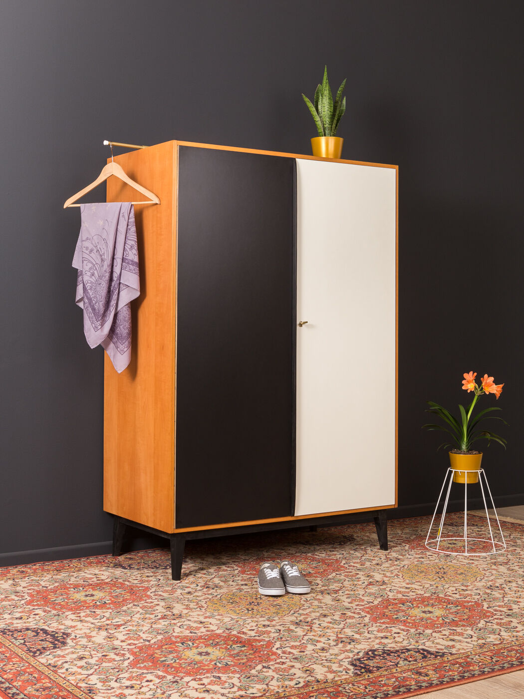 Wardrobe from the 1950s
