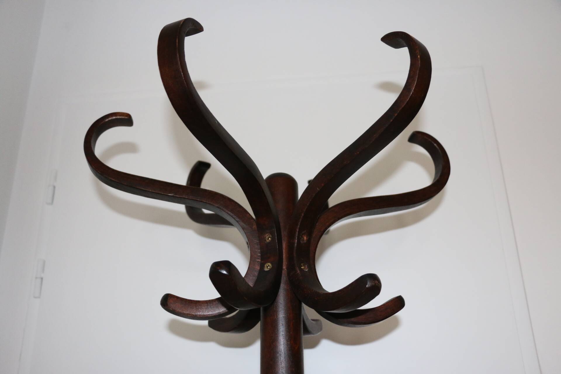 Baumann parrot coat rack dark beech umbrella stand