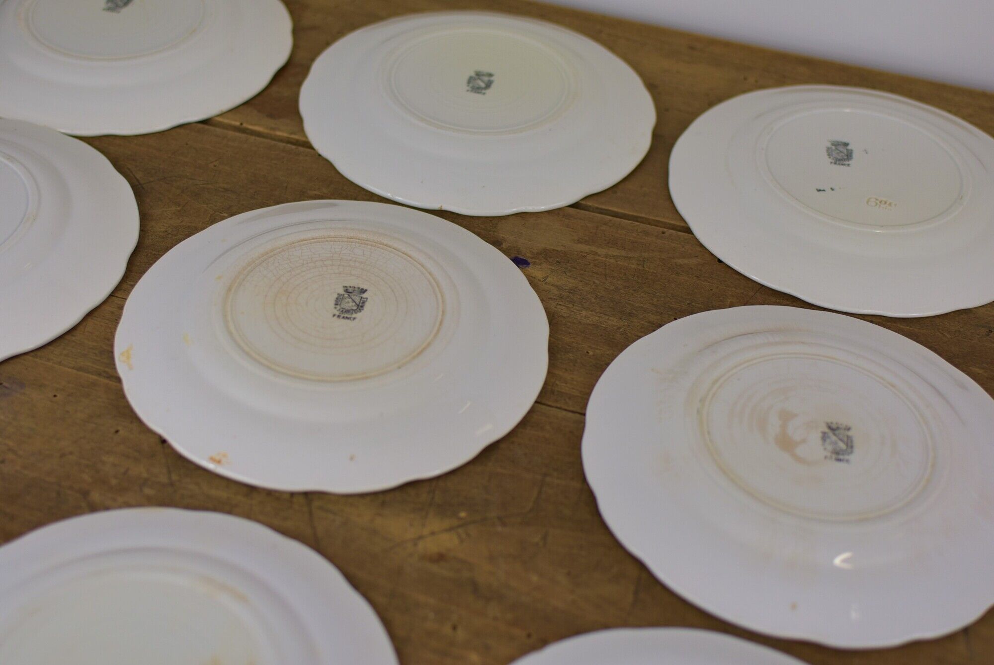 Set of 12 souvenir plates of Lourdes Digoin & Sarreguemines