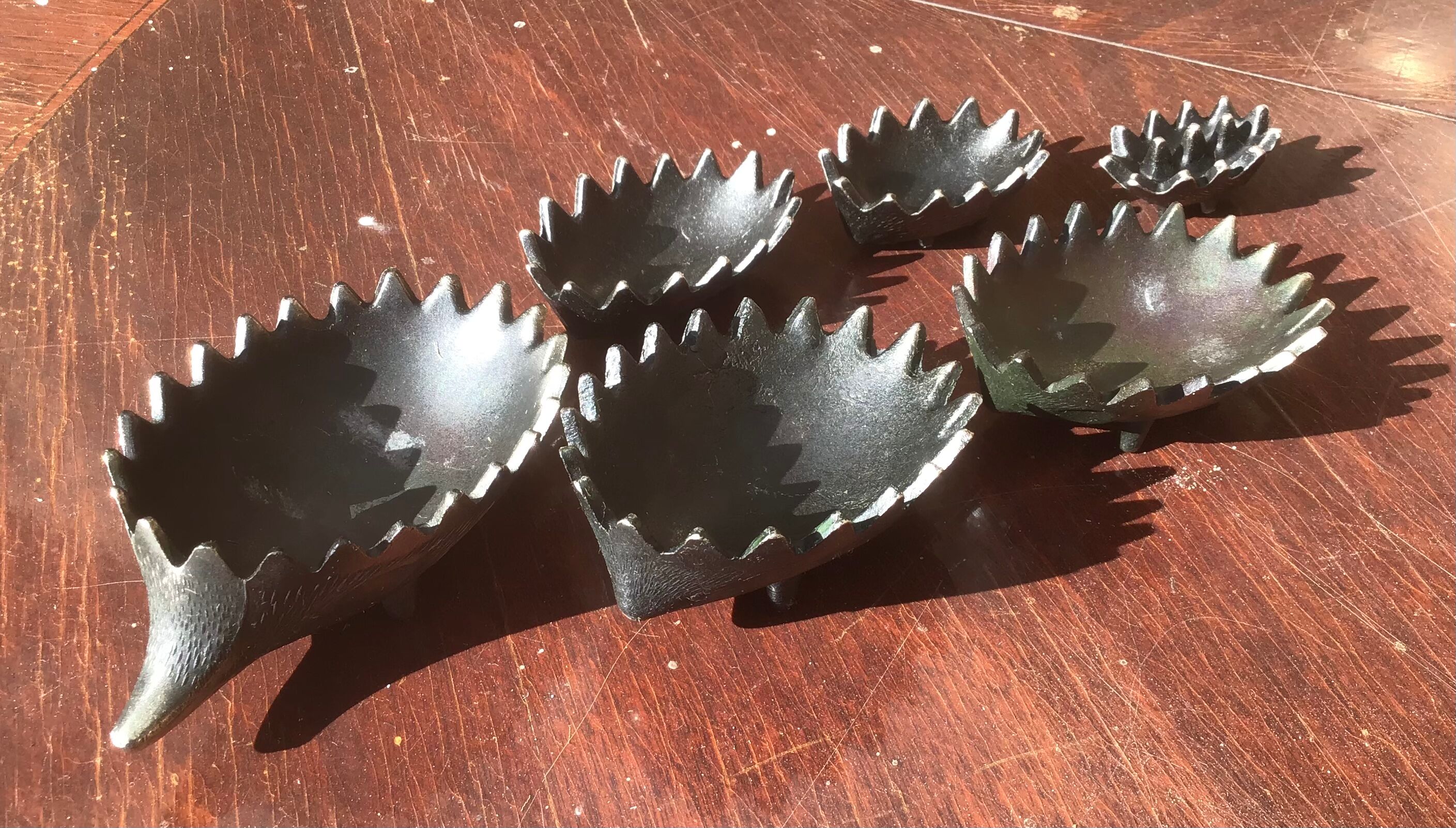 Family of 6 hedgehogs to adopt after Walter Bosse