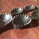 Family of 6 hedgehogs to adopt after Walter Bosse