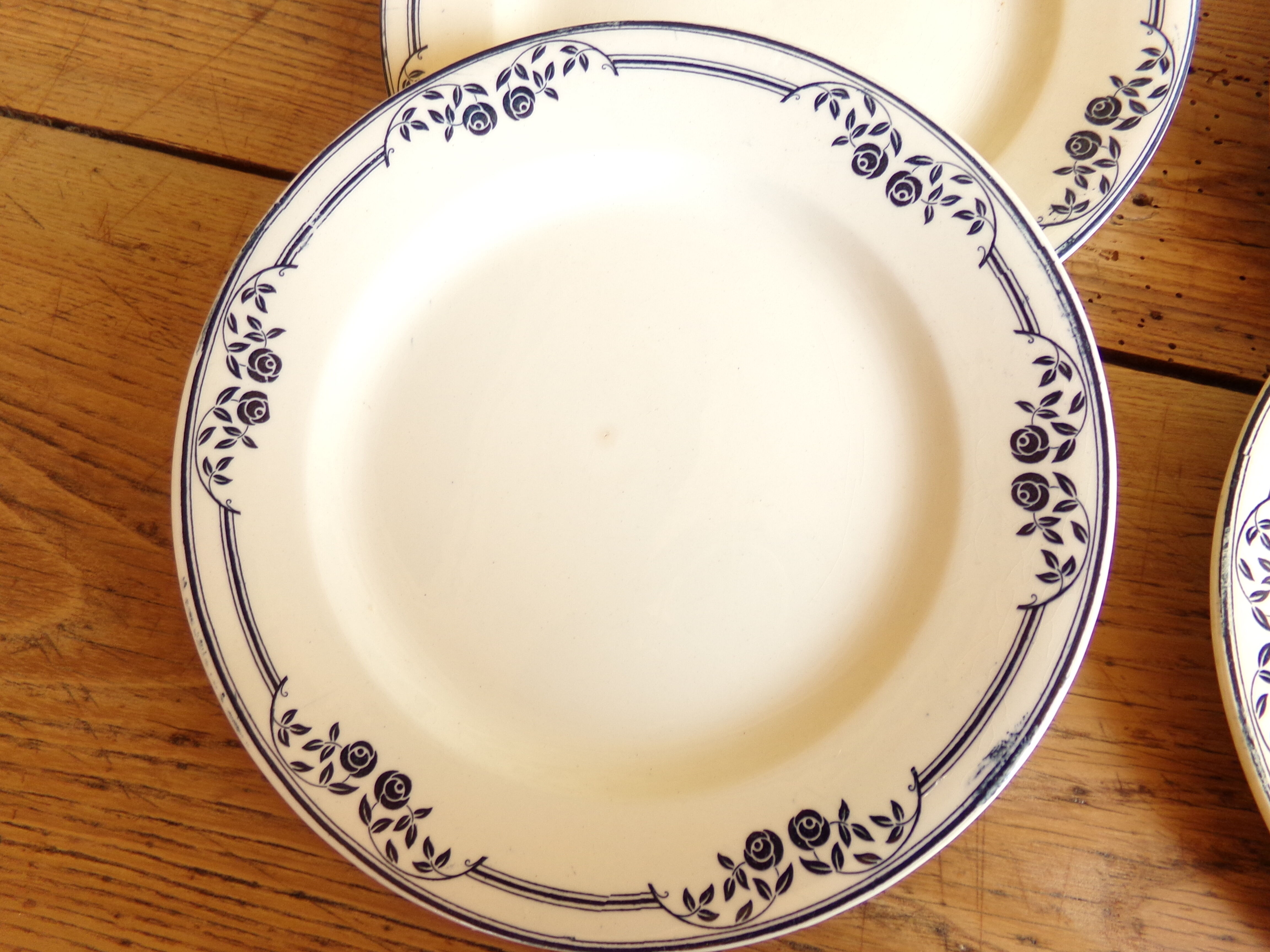 8 flat plates Salins model Saussure A.B - Iron Earth