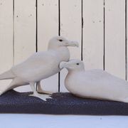 Couple de goélands en faïence de Sèvres, émail crispé
