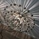 Pistillo Studio Tetrarch lamp for Valenti 60s model