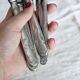 6 couteaux anciens en inox - Décor feuillage