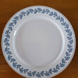 6 flat plates Sarreguemines Oak model