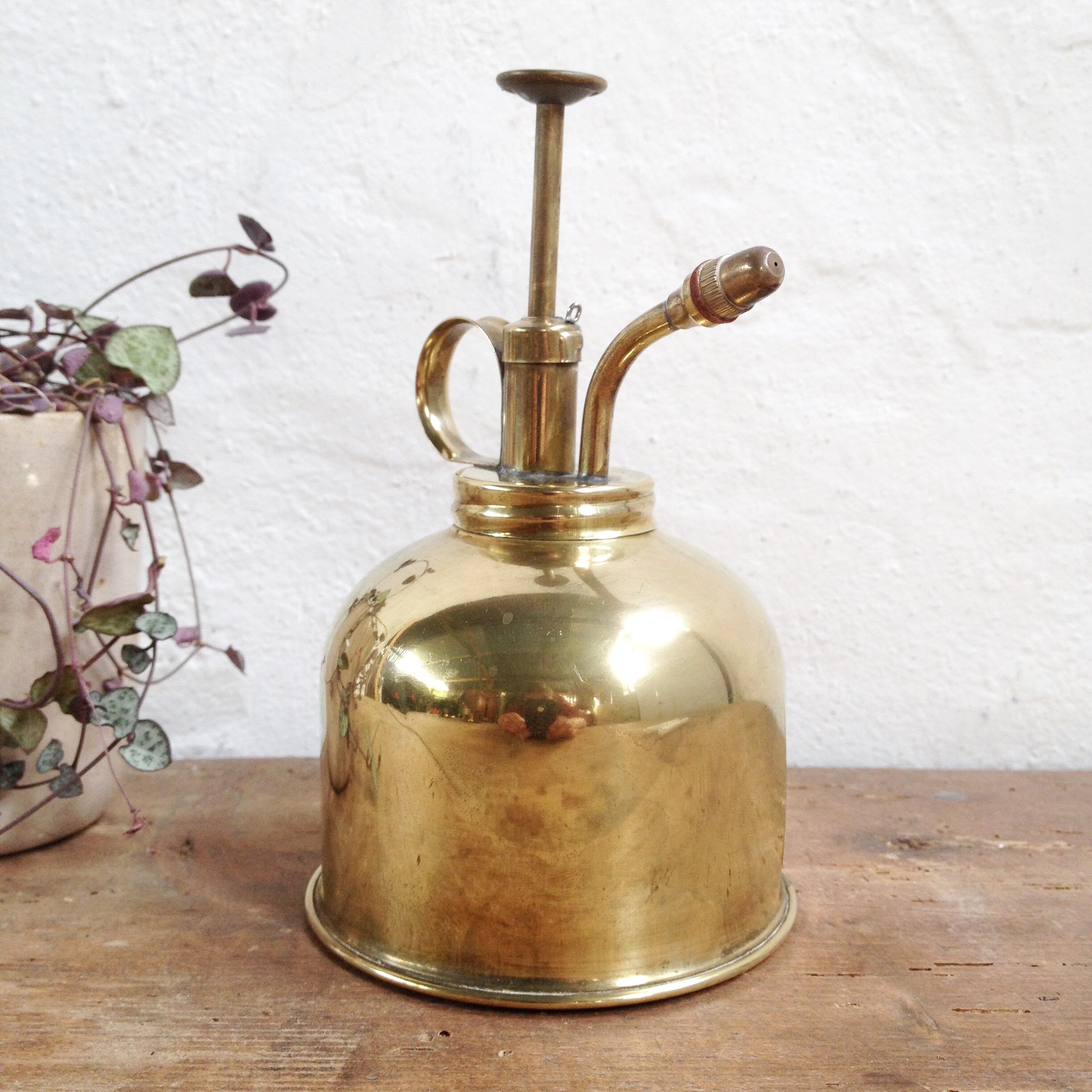 Brass plant spray